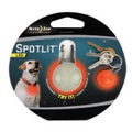 SpotLit LED Collar Light